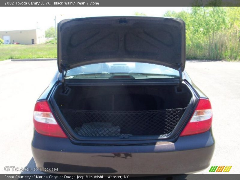 Black Walnut Pearl / Stone 2002 Toyota Camry LE V6