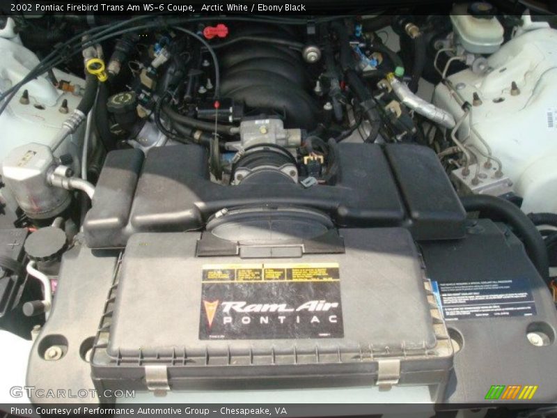 Arctic White / Ebony Black 2002 Pontiac Firebird Trans Am WS-6 Coupe