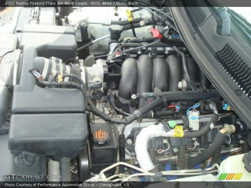 Arctic White / Ebony Black 2002 Pontiac Firebird Trans Am WS-6 Coupe
