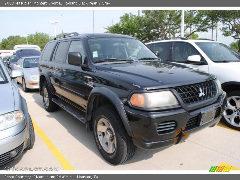 Solano Black Pearl / Gray 2003 Mitsubishi Montero Sport LS