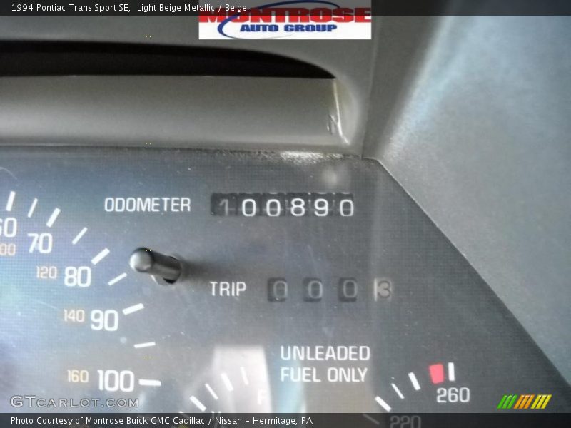Light Beige Metallic / Beige 1994 Pontiac Trans Sport SE
