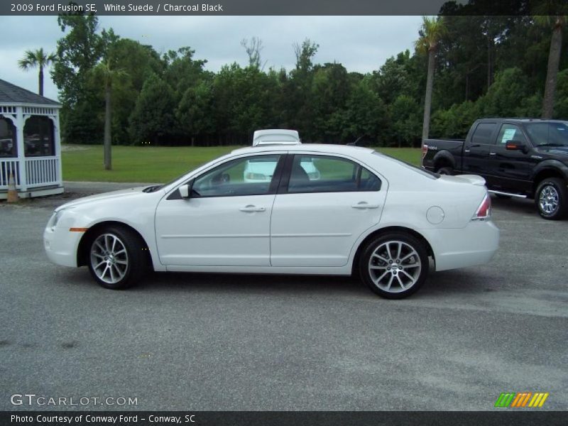 White Suede / Charcoal Black 2009 Ford Fusion SE