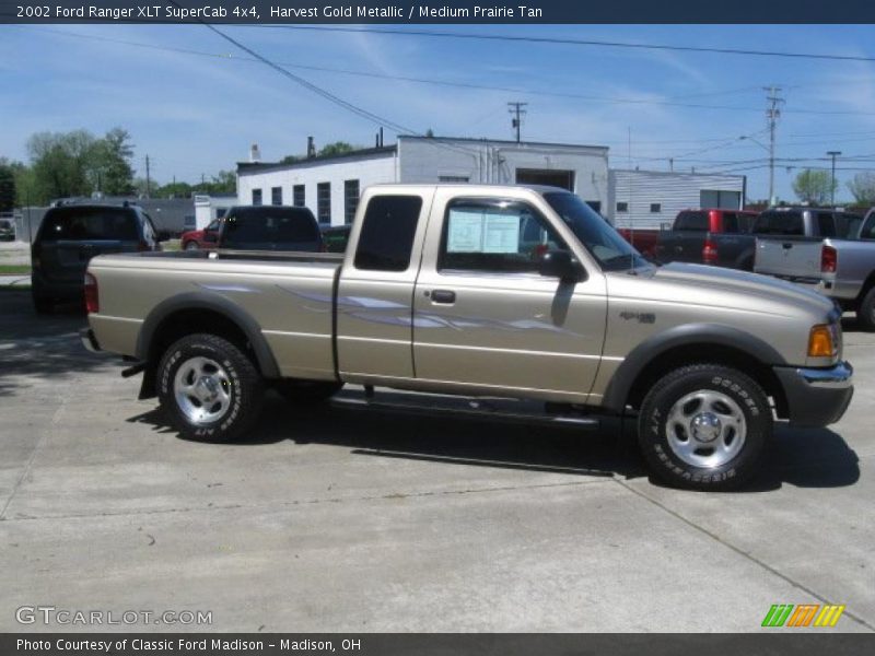 Harvest Gold Metallic / Medium Prairie Tan 2002 Ford Ranger XLT SuperCab 4x4