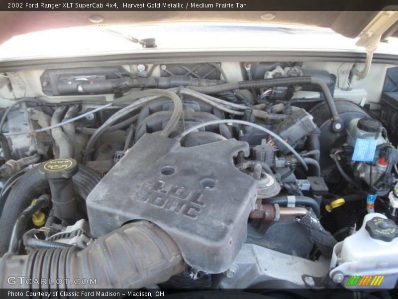 Harvest Gold Metallic / Medium Prairie Tan 2002 Ford Ranger XLT SuperCab 4x4