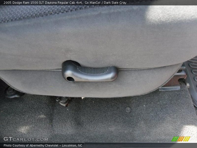 Go ManGo! / Dark Slate Gray 2005 Dodge Ram 1500 SLT Daytona Regular Cab 4x4