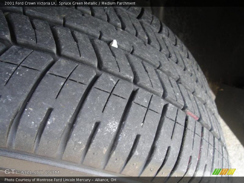 Spruce Green Metallic / Medium Parchment 2001 Ford Crown Victoria LX