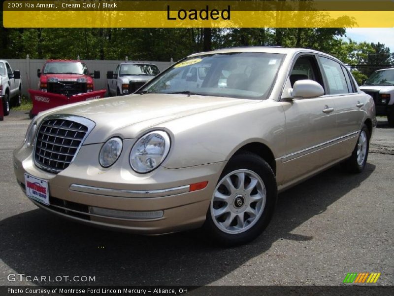 Cream Gold / Black 2005 Kia Amanti