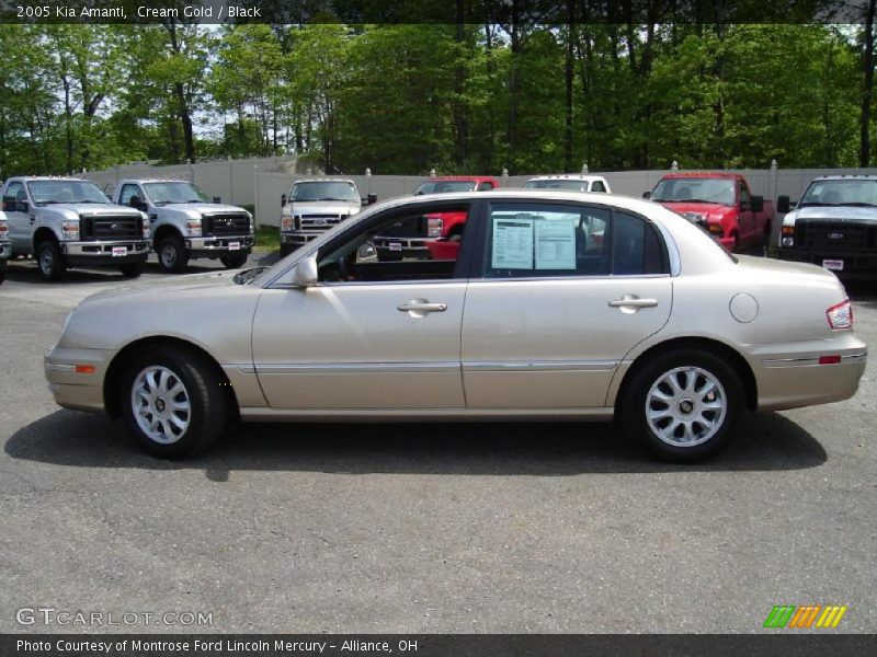 Cream Gold / Black 2005 Kia Amanti