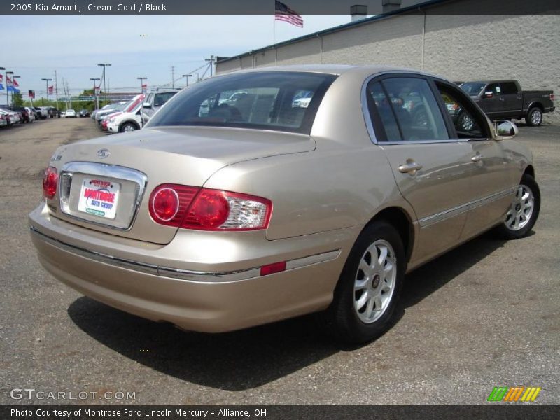 Cream Gold / Black 2005 Kia Amanti