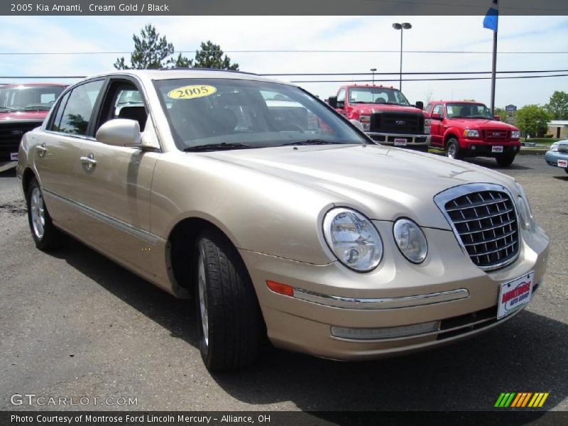 Cream Gold / Black 2005 Kia Amanti