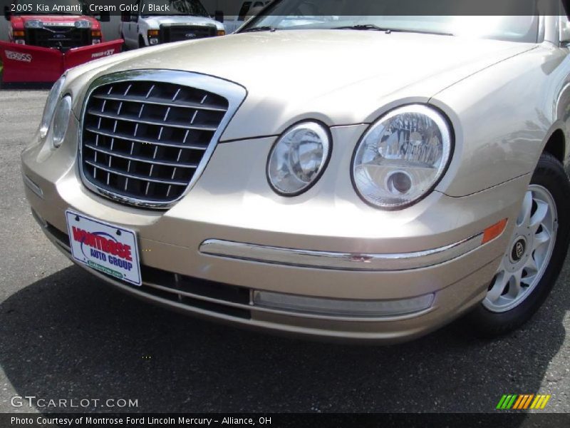 Cream Gold / Black 2005 Kia Amanti