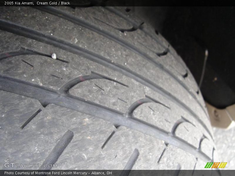 Cream Gold / Black 2005 Kia Amanti
