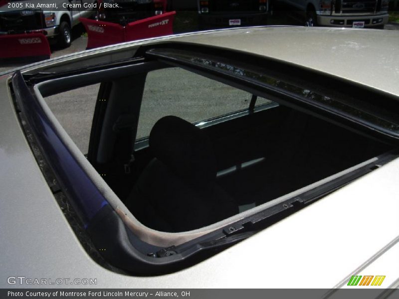 Cream Gold / Black 2005 Kia Amanti