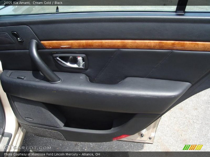 Cream Gold / Black 2005 Kia Amanti