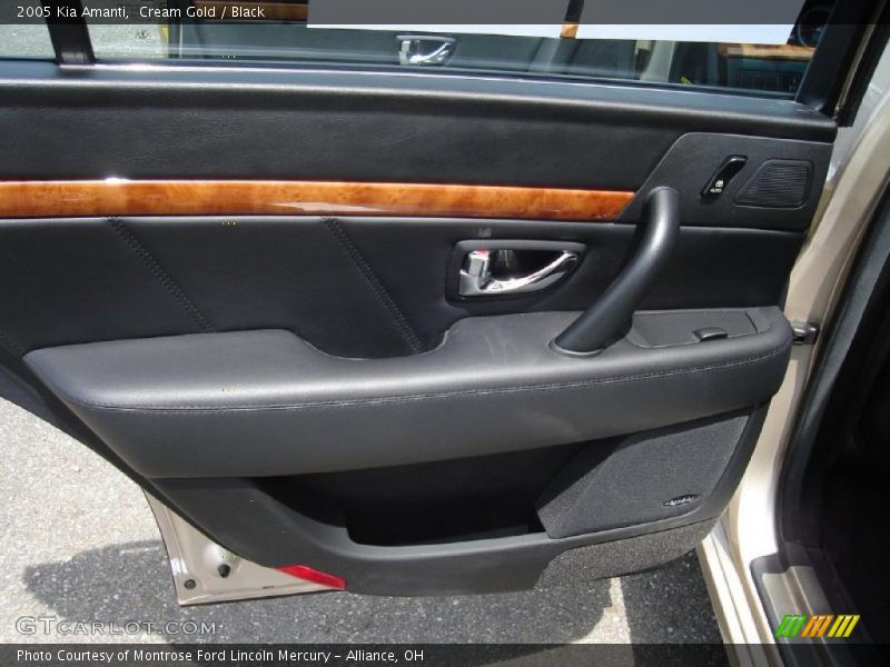 Cream Gold / Black 2005 Kia Amanti