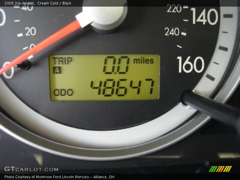 Cream Gold / Black 2005 Kia Amanti