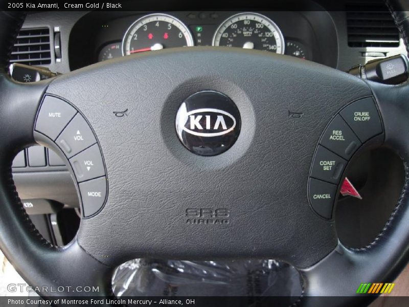 Cream Gold / Black 2005 Kia Amanti