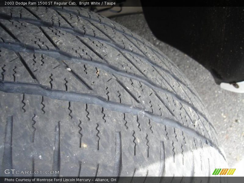 Bright White / Taupe 2003 Dodge Ram 1500 ST Regular Cab