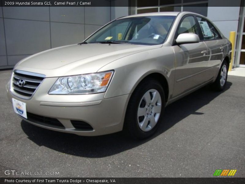 Camel Pearl / Camel 2009 Hyundai Sonata GLS