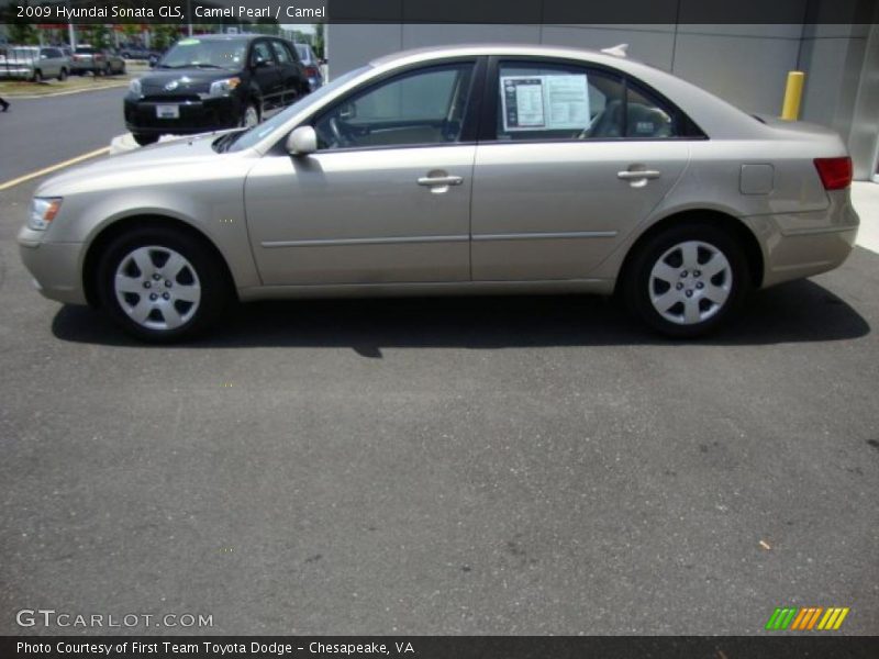 Camel Pearl / Camel 2009 Hyundai Sonata GLS