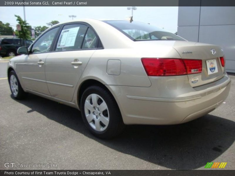 Camel Pearl / Camel 2009 Hyundai Sonata GLS