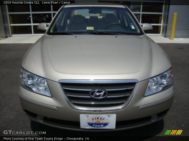 Camel Pearl / Camel 2009 Hyundai Sonata GLS