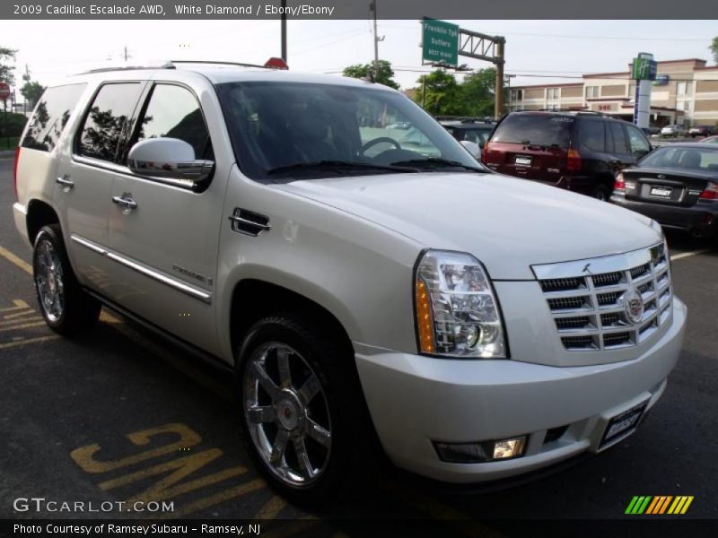 White Diamond / Ebony/Ebony 2009 Cadillac Escalade AWD