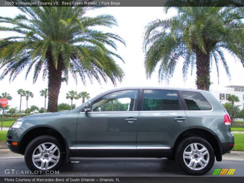 Reed Green Metallic / Pure Beige 2005 Volkswagen Touareg V8