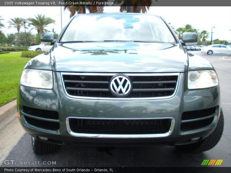 Reed Green Metallic / Pure Beige 2005 Volkswagen Touareg V8