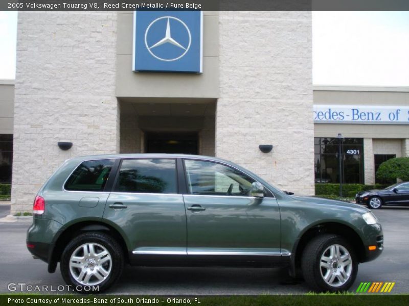 Reed Green Metallic / Pure Beige 2005 Volkswagen Touareg V8
