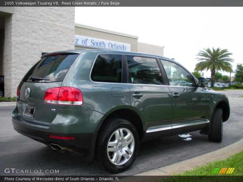 Reed Green Metallic / Pure Beige 2005 Volkswagen Touareg V8