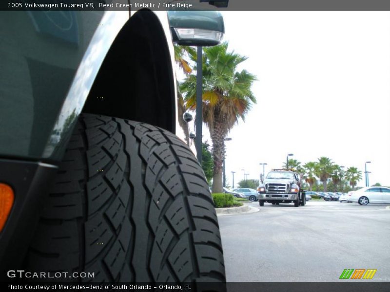 Reed Green Metallic / Pure Beige 2005 Volkswagen Touareg V8