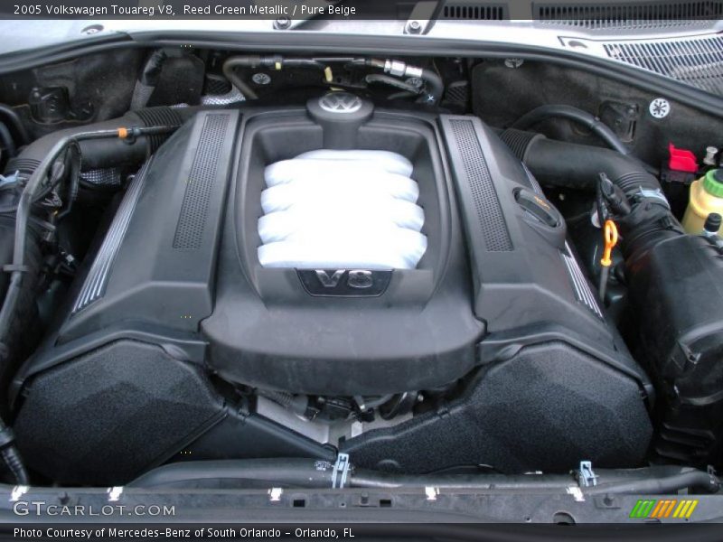 Reed Green Metallic / Pure Beige 2005 Volkswagen Touareg V8