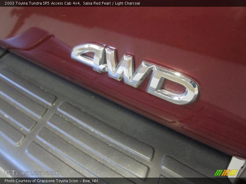 Salsa Red Pearl / Light Charcoal 2003 Toyota Tundra SR5 Access Cab 4x4
