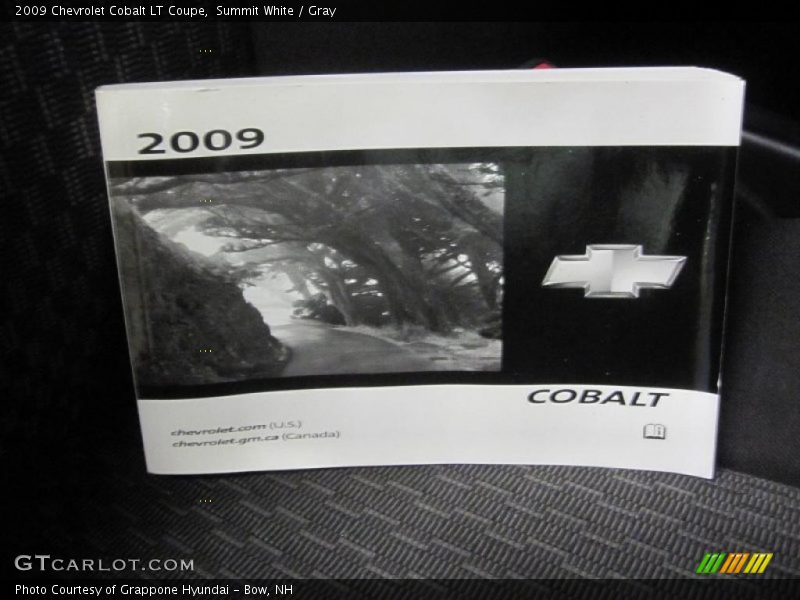 Summit White / Gray 2009 Chevrolet Cobalt LT Coupe
