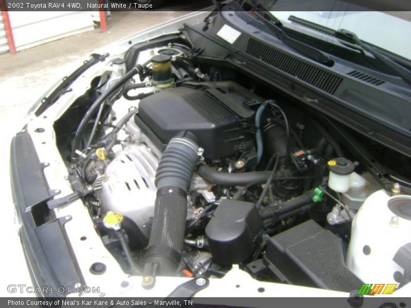 Natural White / Taupe 2002 Toyota RAV4 4WD