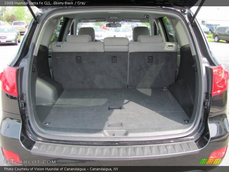 Ebony Black / Gray 2009 Hyundai Santa Fe GLS