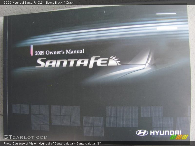 Ebony Black / Gray 2009 Hyundai Santa Fe GLS