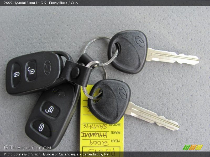 Ebony Black / Gray 2009 Hyundai Santa Fe GLS