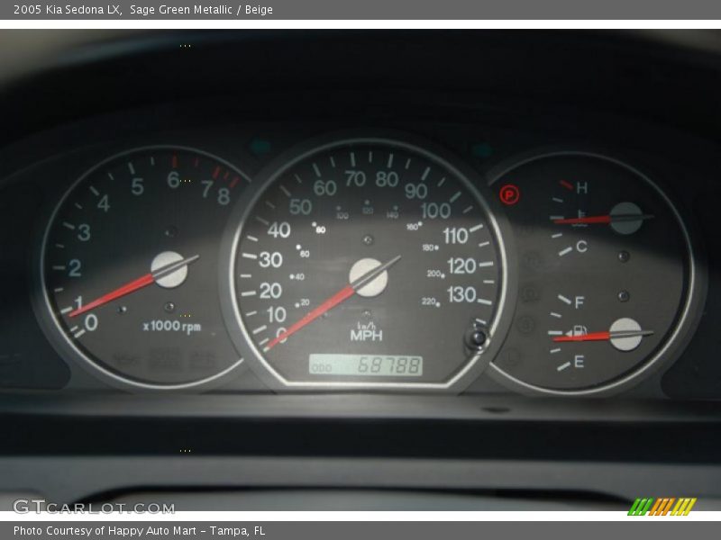 Sage Green Metallic / Beige 2005 Kia Sedona LX