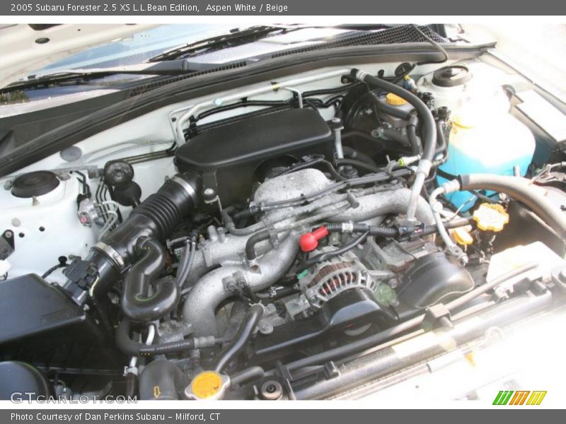 Aspen White / Beige 2005 Subaru Forester 2.5 XS L.L.Bean Edition