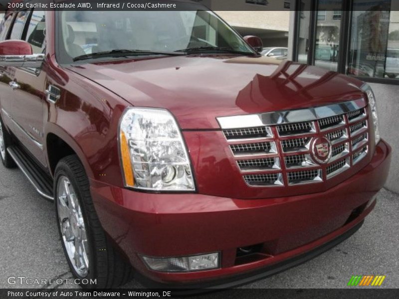 Infrared / Cocoa/Cashmere 2009 Cadillac Escalade AWD