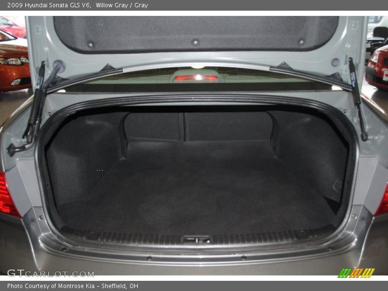 Willow Gray / Gray 2009 Hyundai Sonata GLS V6