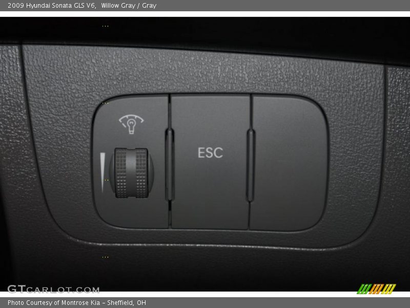 Willow Gray / Gray 2009 Hyundai Sonata GLS V6