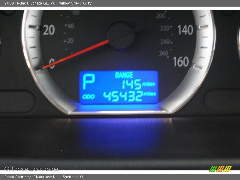Willow Gray / Gray 2009 Hyundai Sonata GLS V6