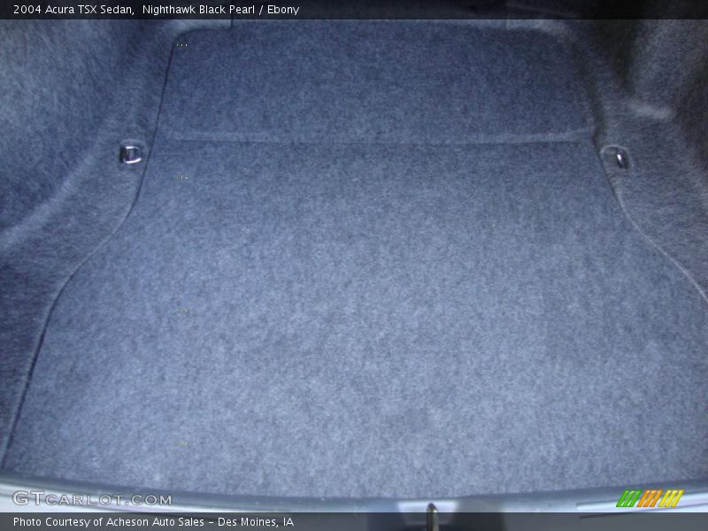 Nighthawk Black Pearl / Ebony 2004 Acura TSX Sedan