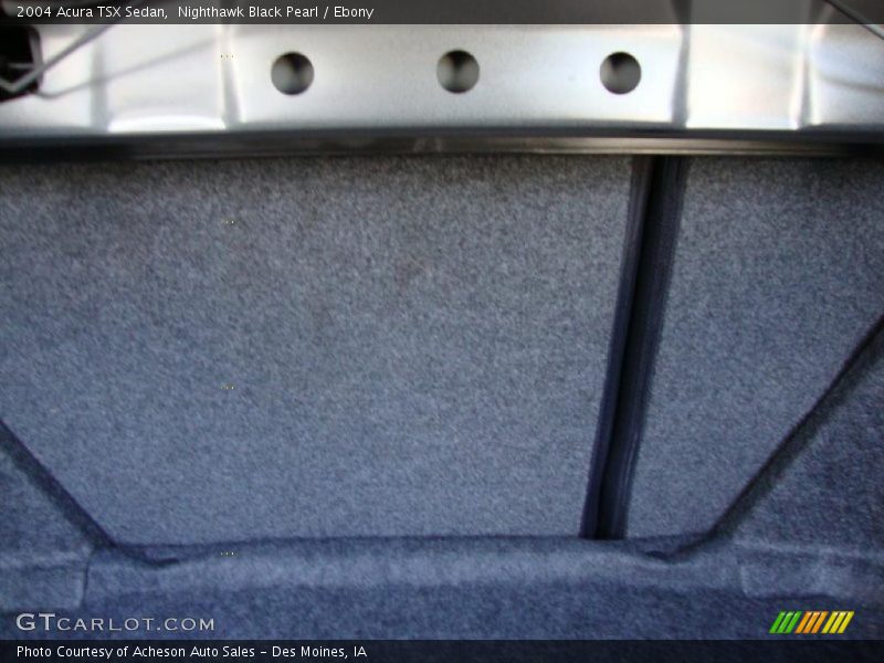 Nighthawk Black Pearl / Ebony 2004 Acura TSX Sedan