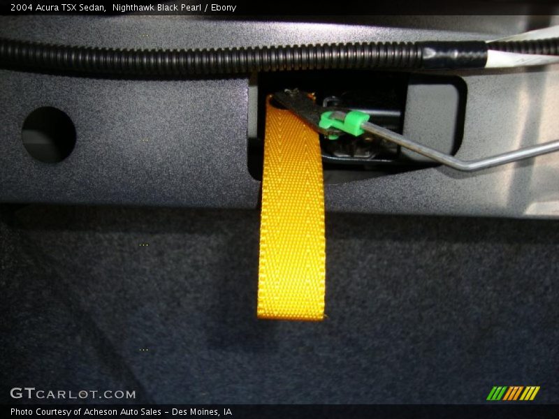 Nighthawk Black Pearl / Ebony 2004 Acura TSX Sedan