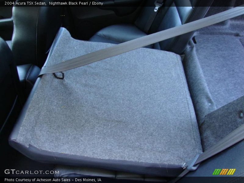 Nighthawk Black Pearl / Ebony 2004 Acura TSX Sedan
