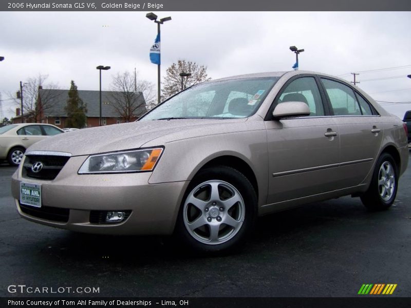 Golden Beige / Beige 2006 Hyundai Sonata GLS V6